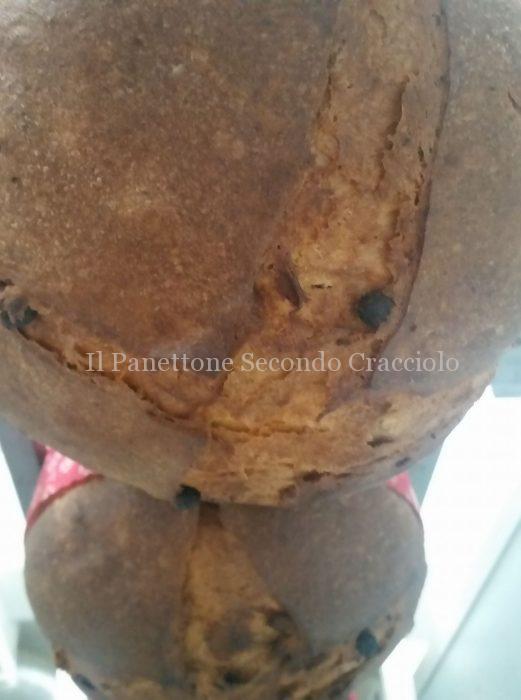 Panettone Secondo Caracciolo Contest 2017 – Carlo Cuofano