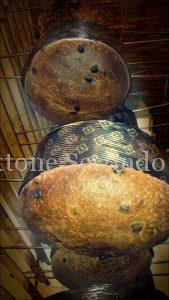 Panettone Secondo Caracciolo Contest 2017 - Forno Bottoli