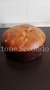 Panettone Secondo Caracciolo Contest 2017 – Katia Morabito