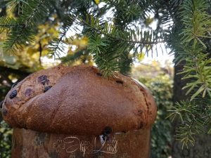 Panettone Contest 2016 – Zucchero o Polvere di Fata